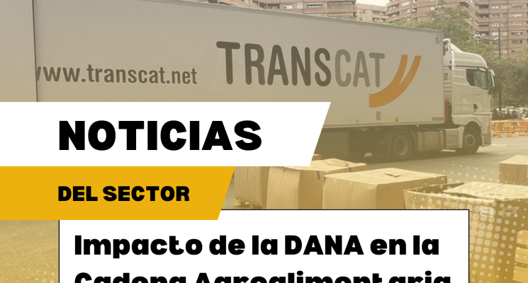 impacto de la dana en valencia